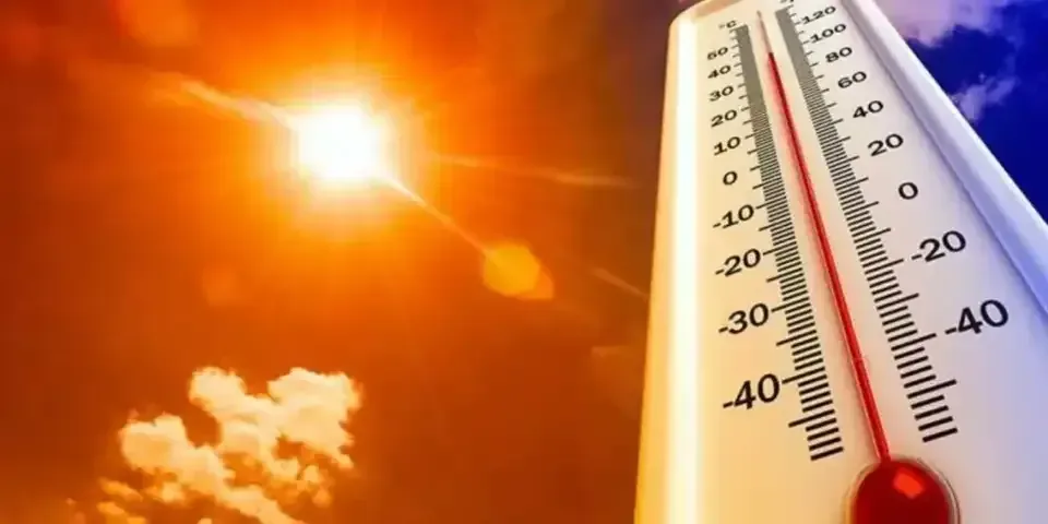 Climat : records de chaleur et phénomènes extrêmes inquiètent les scientifiques