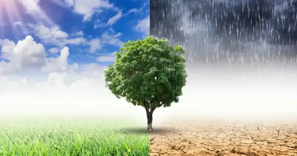 Climat : l’ONU estime désormais que le seuil de 1,5 °C sera dépassé